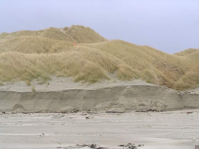Steward Island 024.jpg